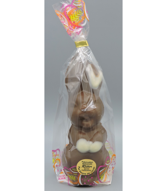 RIGOLOT 100GRS CHOCOLAT LAIT